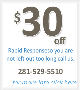 Special Offer